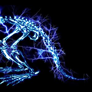 免费看囗交毛片
