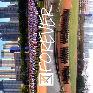 免费看囗交毛片
